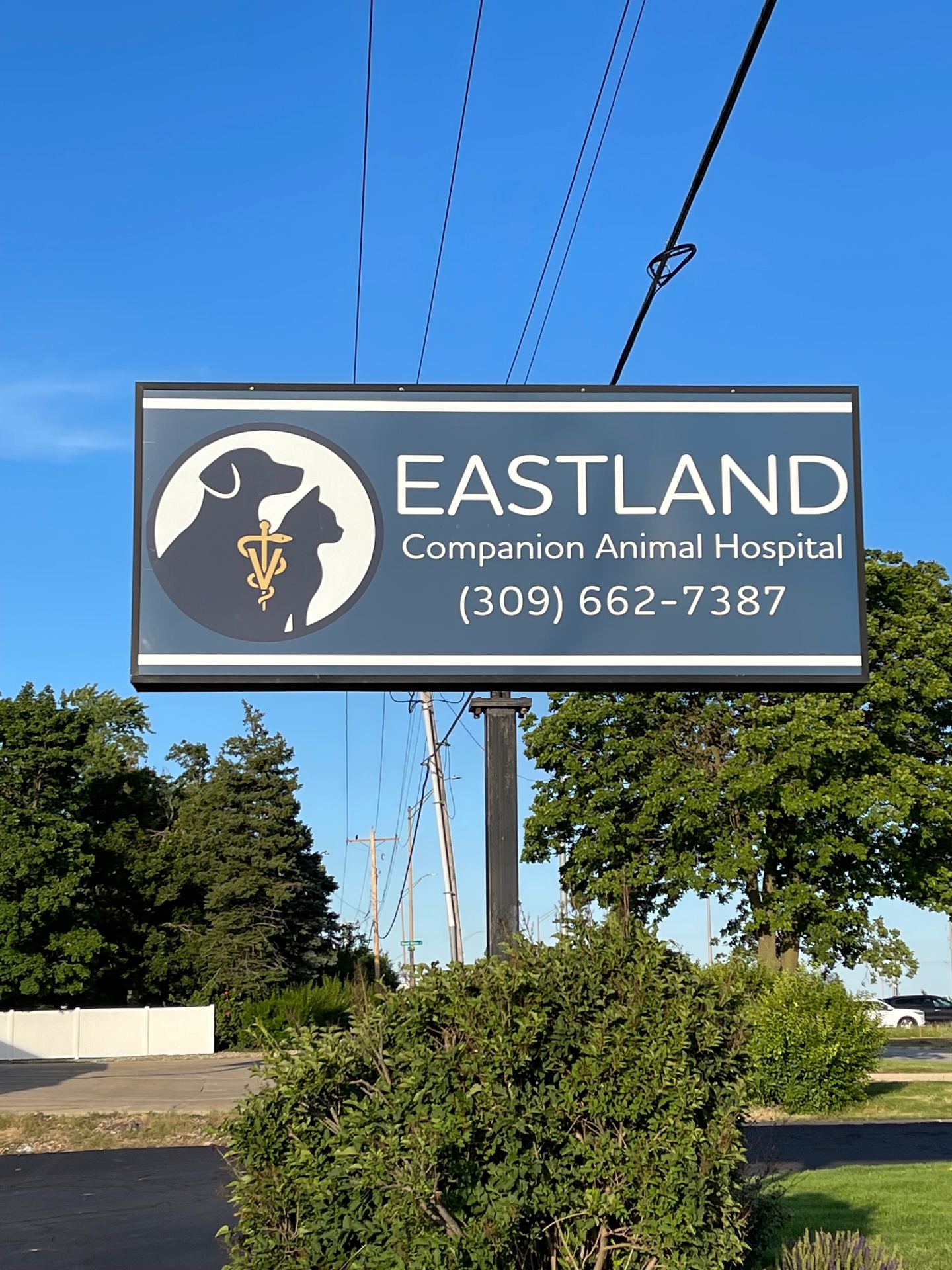 Eastland Companion Animal Hospital illuminated pylon cabinet sign in Bloomington, IL
